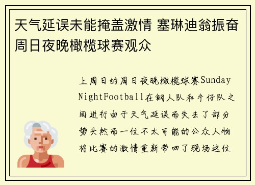 天气延误未能掩盖激情 塞琳迪翁振奋周日夜晚橄榄球赛观众